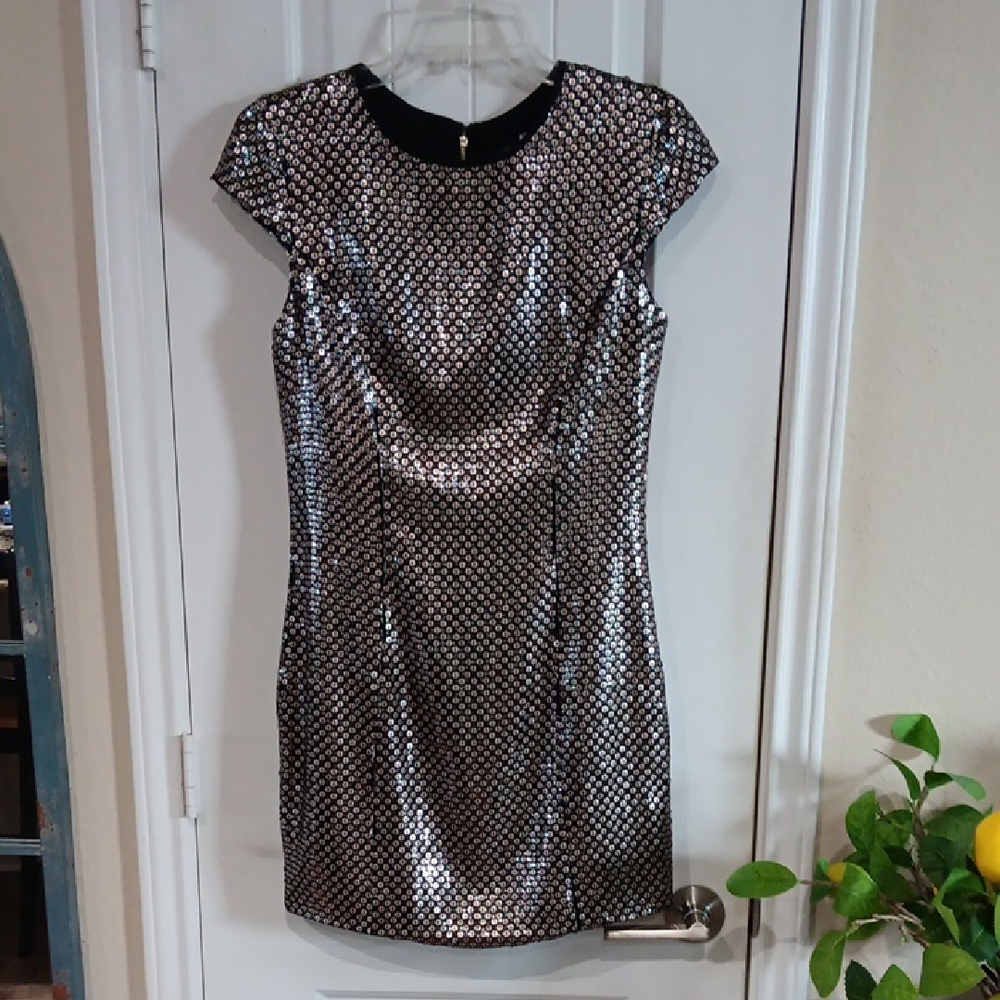 Slate & Willow Silver Sequin Ruched Sheath Dress